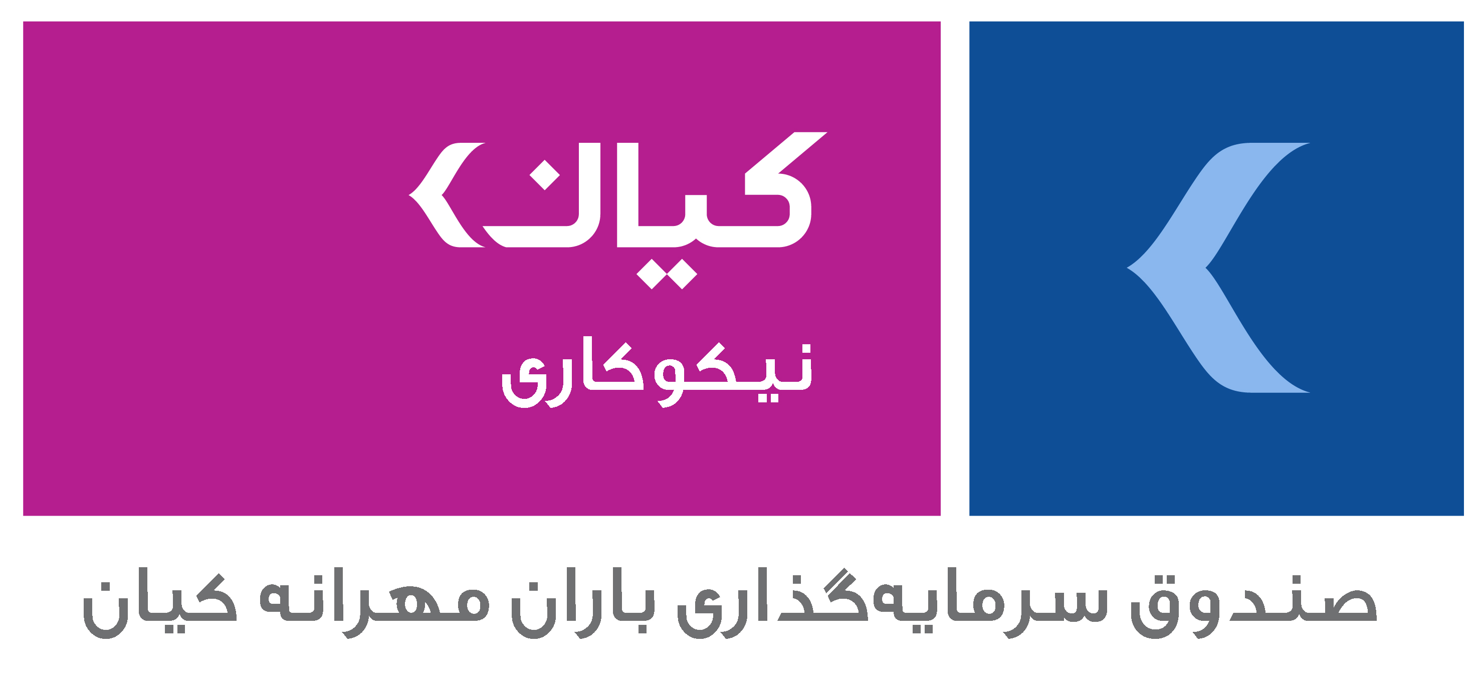 صندوق نیکوکاری باران مهرانه کیان